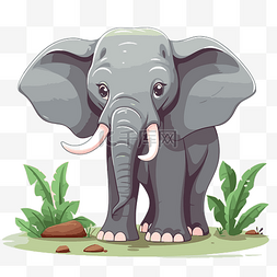 开阔图片_elefante 剪贴画 卡通大象在开阔的