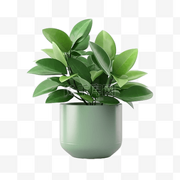 绿色植物 3d 渲染