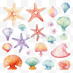 珊瑚海洋图片_水彩套贝壳海马海星气泡