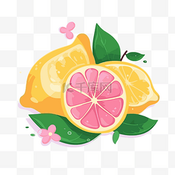 粉红色柠檬剪贴画柑橘粉红色柠檬