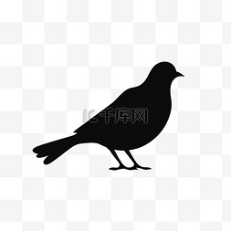 黑色背景的翅膀图片_鸟栖息的鸽子剪影