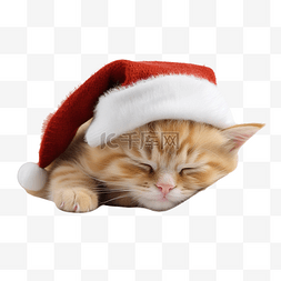 圣诞小姜小猫甜蜜地睡在柔软舒适