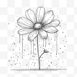 线描雨图片_雨中雏菊的黑白画轮廓素描 向量