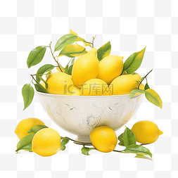 柠檬碗静物