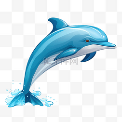大海豚图片_海洋动物美丽的海豚