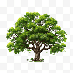 大树生长图片_大树和树枝png文件