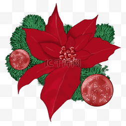 圣诞装饰花图片_圣诞一品红红色花卉