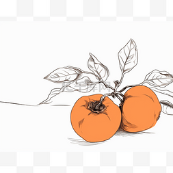 树枝上的两个橙色柿子手绘图
