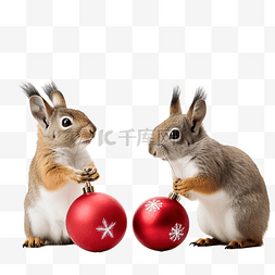圣诞快乐庆祝滑稽的兔子和松鼠球
