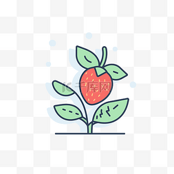 矢量线草莓植物