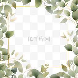白色花金色叶子图片_美丽的最小种子桉树叶方形横幅金