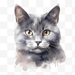 白色透明风格图片_水彩风格灰猫脸的分离