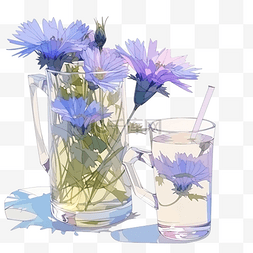 草地花瓣图片_菊苣植物与花朵饮料健康饮食