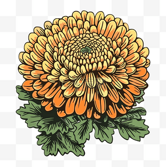 菊花剪贴画 彩色笔墨卡通中的橙色菊花插图 向量