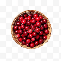 篮子里的水果图片_蔓越莓国庆节和感恩节篮子里的顶