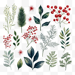 经典传统边框边框图片_圣诞花卉系列，配有手绘装饰树枝