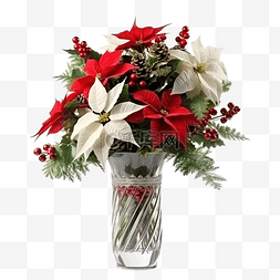 八角手绘图片_圣诞花束，一品红和麦芽酒树枝