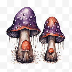 矢量魔术帽图片_两个女巫蘑菇设置万圣节和魔法物
