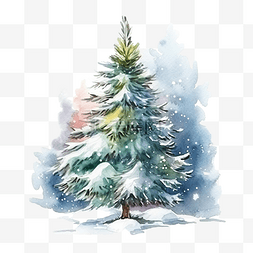 被雪覆盖的植物图片_被雪覆盖的圣诞松树插画水彩
