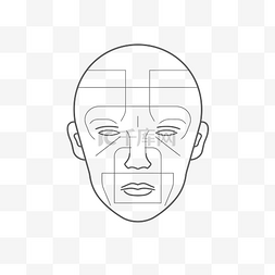 线条脸部图片_脸部线条图 向量