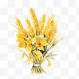 黑麦麦穗图片_水彩黄色麦穗花束剪纸