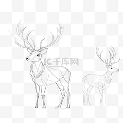 素描驯鹿图片_用一条连续线绘制鹿轮廓
