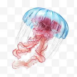 水母的 3d 插图
