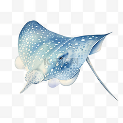 水彩水族馆图片_黄貂鱼水彩剪贴画