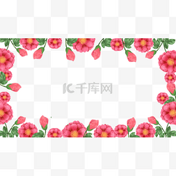 盛开的图片_山茶花粉色水彩花卉边框