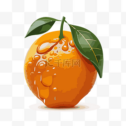 橙色水果 向量