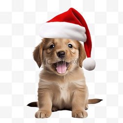 快乐小狗戴着圣诞老人帽子庆祝圣