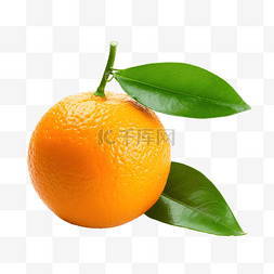 橘子花背景图片_一个橘子与孤立的绿叶