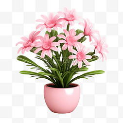 3d 花卉植物