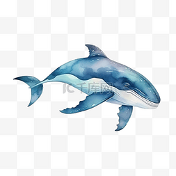 大视野背景图片_水彩鲸鱼海洋动物