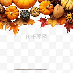秋天枫叶落图片_秋天和感恩节边界的彩色叶子和南