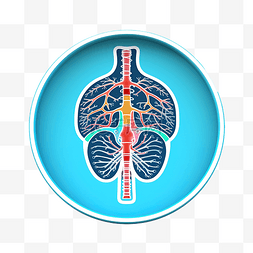 呼吸系统系统图片_器官系统符号