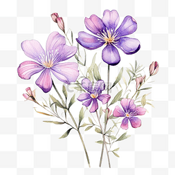 水彩风格的紫色野花