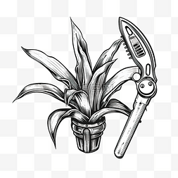 标题模版图片_龙舌兰植物扳手锤子钳子纹身