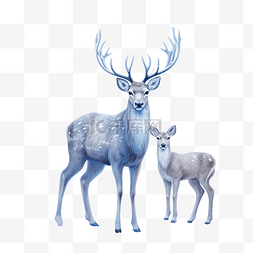雪冬森林中的高贵鹿家族蓝色和白
