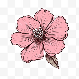 粉红色盛开的花朵概述