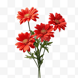 红色深红色图片_一束红色的花