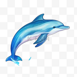 海洋漫画图片_蓝色海豚海洋动物插画