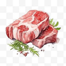 水彩肉羊肉