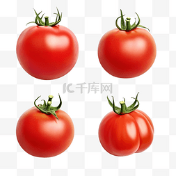 番茄莎莎图片_一套四个番茄品种生成人工智能