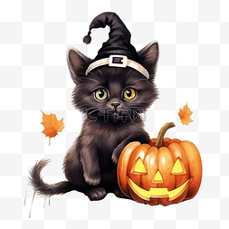 不快乐的小猫图片_捣蛋万圣节贺卡与可爱的黑色小猫