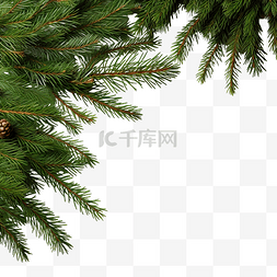 木板上的针叶树枝圣诞装饰