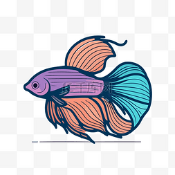 暹罗鱼彩色插画 向量