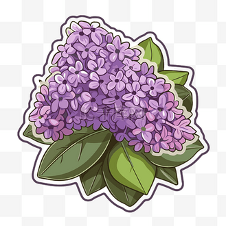vip免费下载免抠元素紫丁香剪贴画 紫色丁香花,白色背景卡通上有叶子