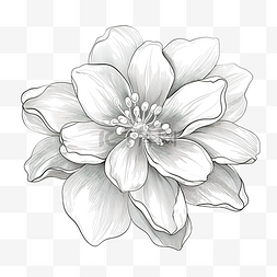 银色水彩图片_银色盛开的花朵概述
