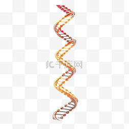 DNA 螺旋遗传结构 3d 插图